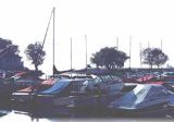 The Marina