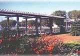 The Wharf at Mitchell's Bay