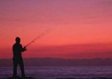 A Fisherman's Paradise