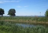 IMG_4684.jpg