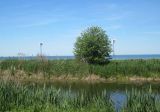 IMG_4685.jpg