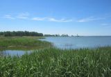 IMG_4698.jpg
