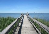 IMG_4699.jpg