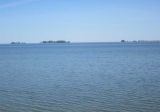 IMG_4702.jpg