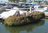 Camping and Marina